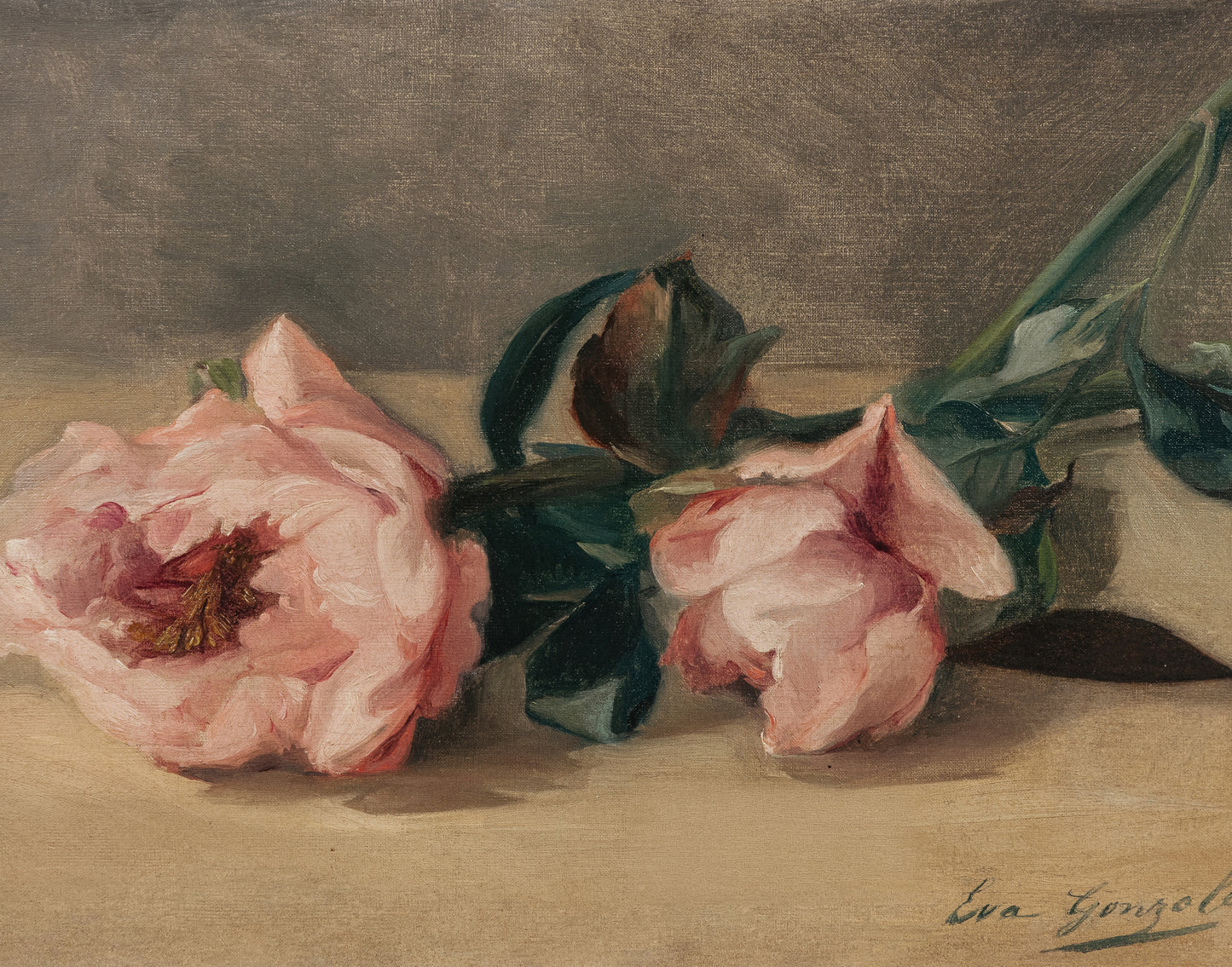 Les Pivoines Et Le Hanneton