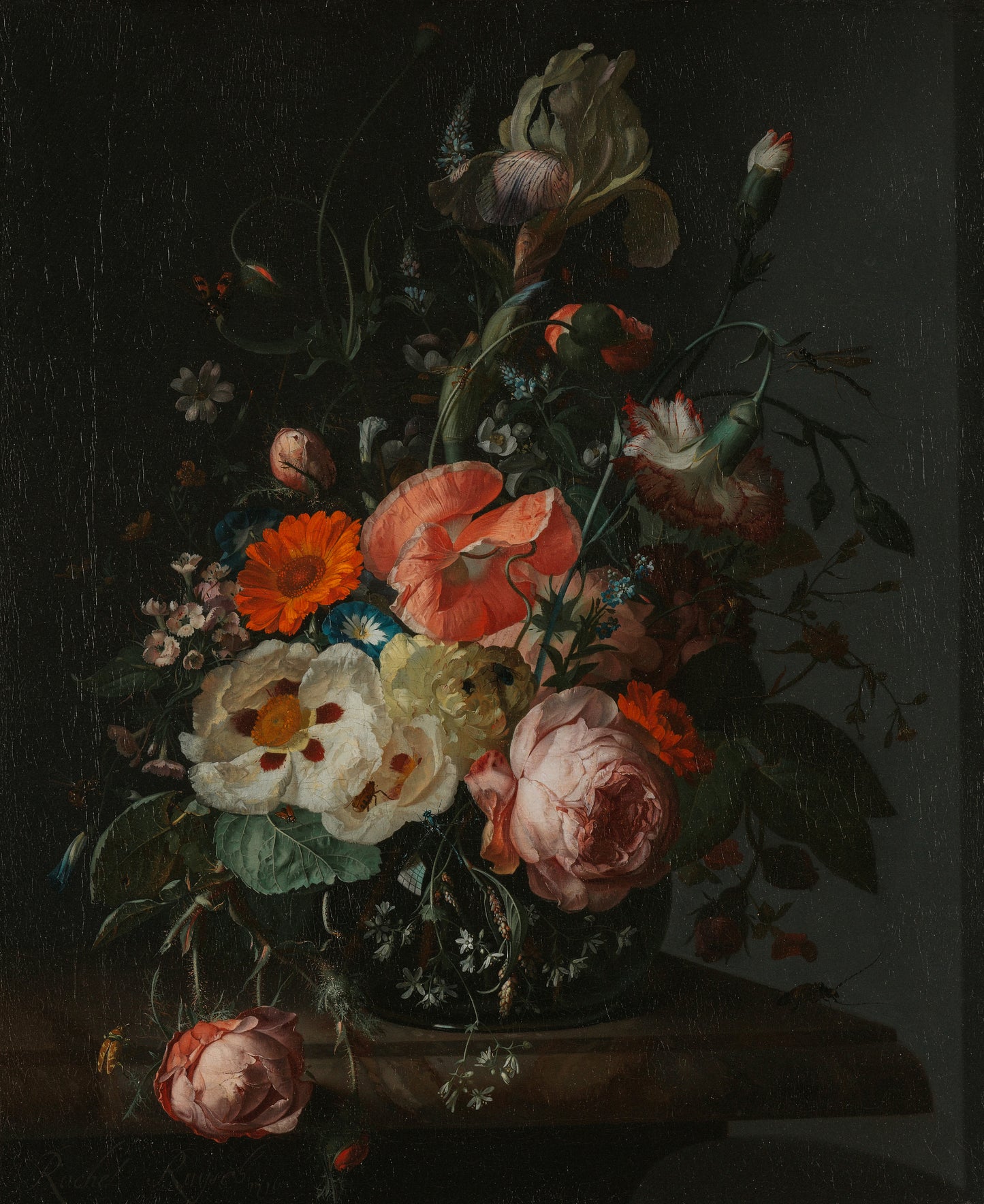Blooms