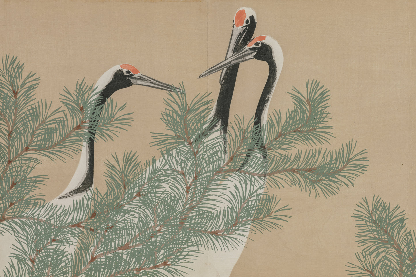 Cranes