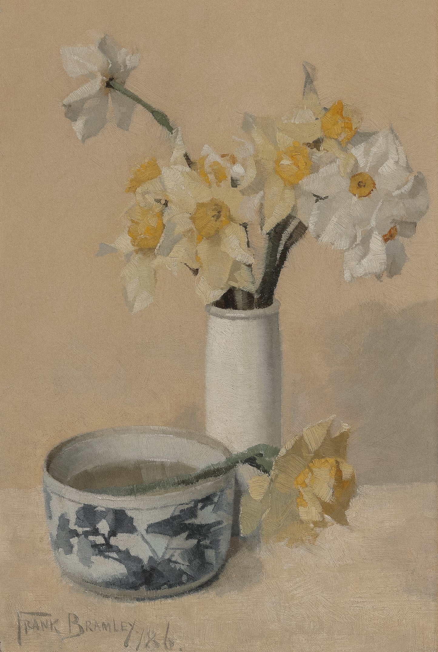 Daffodils and Narcissi