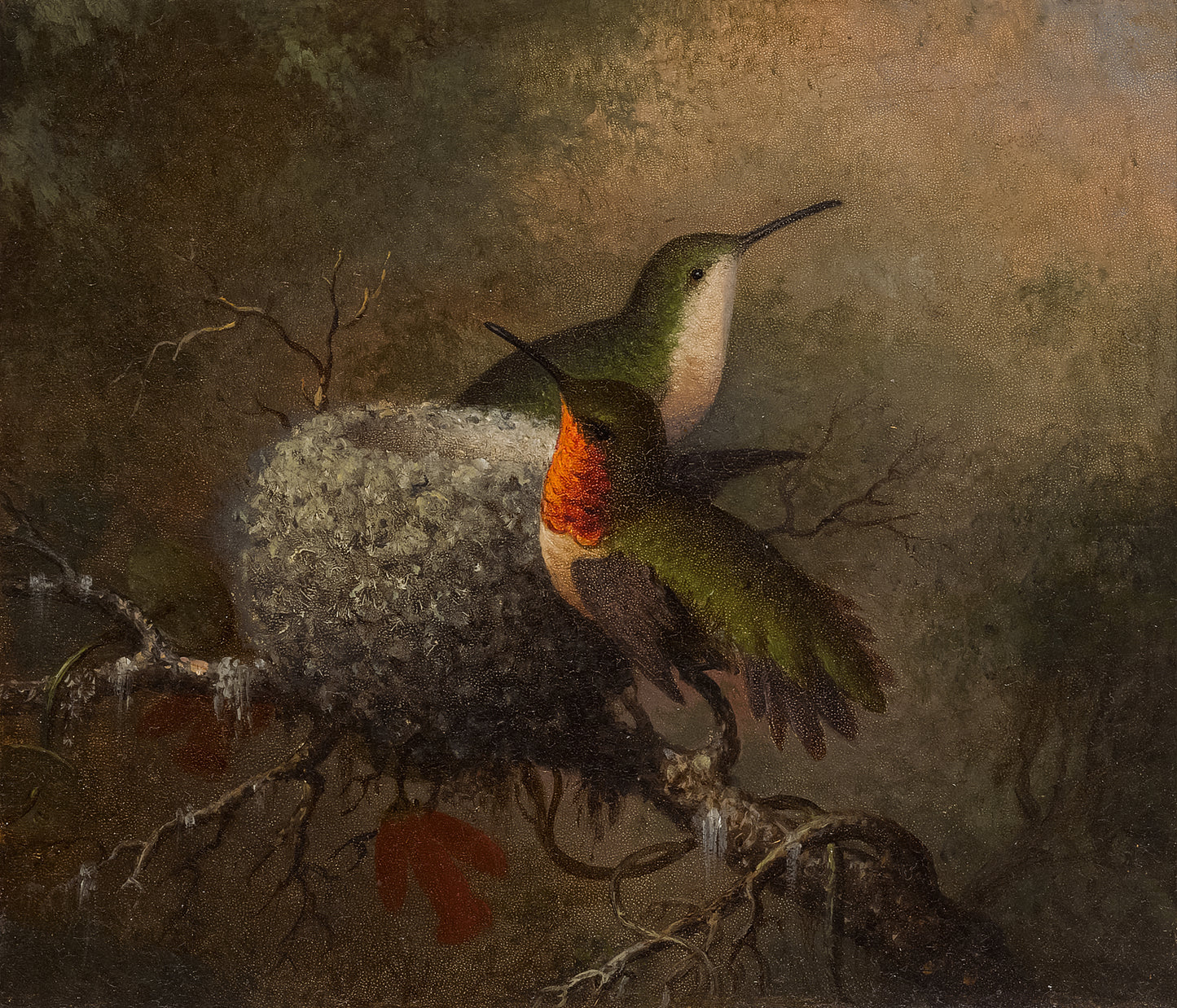 Hummingbirds