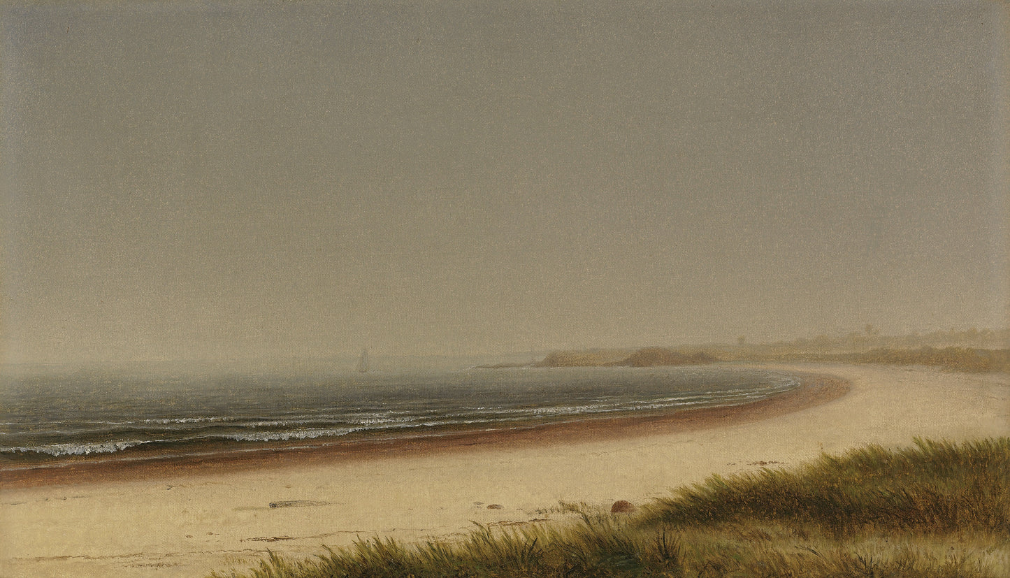 The Shore