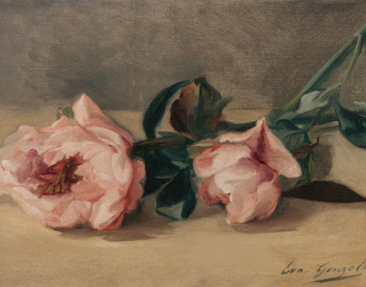 Les Pivoines Et Le Hanneton