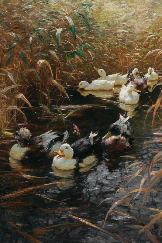 Ducks in Autumn Reeds