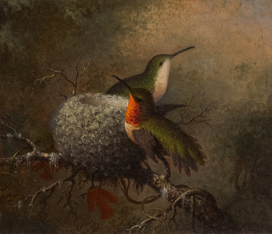Hummingbirds