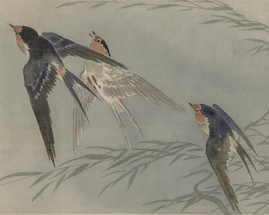 In Flight