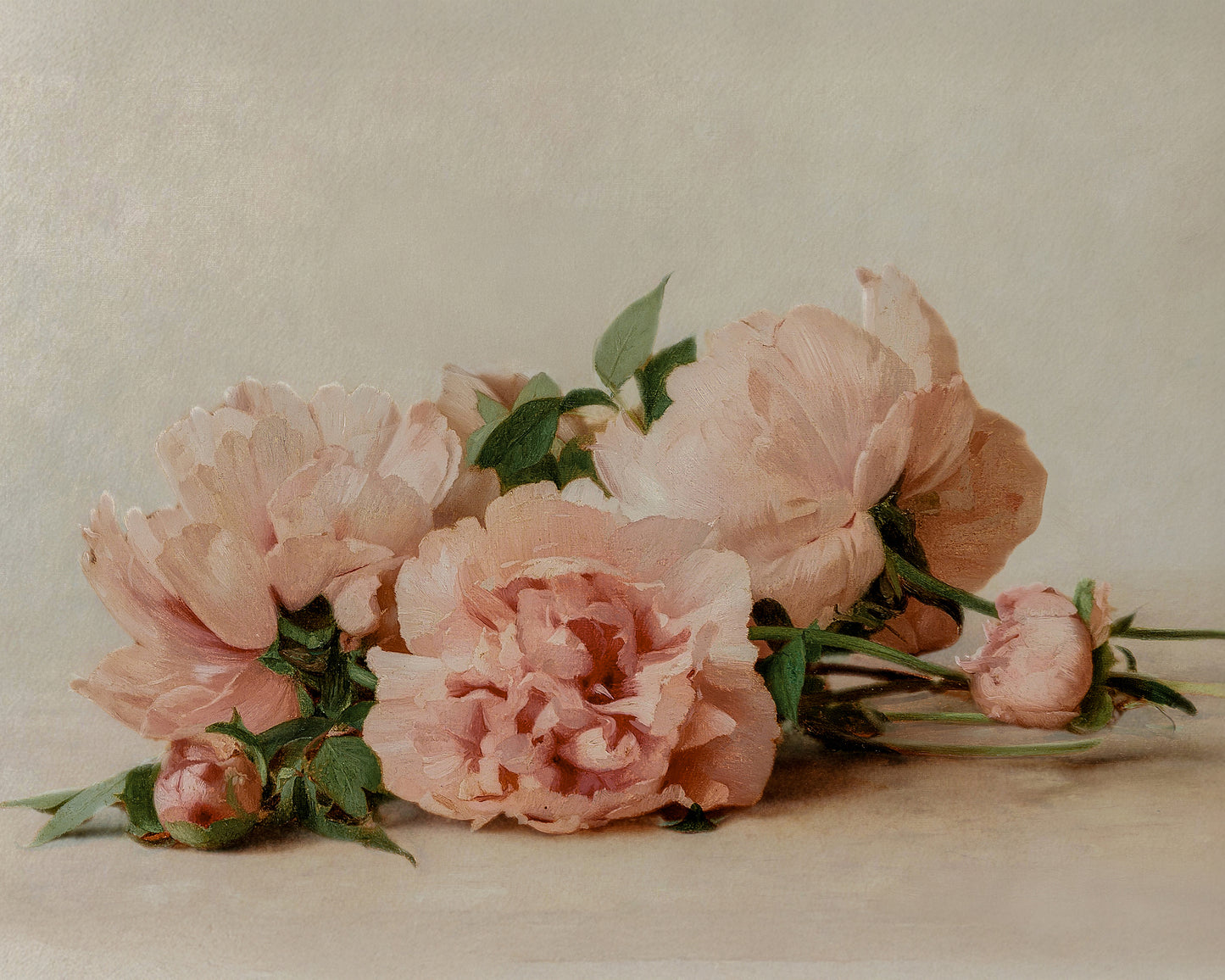 Pink Peonies