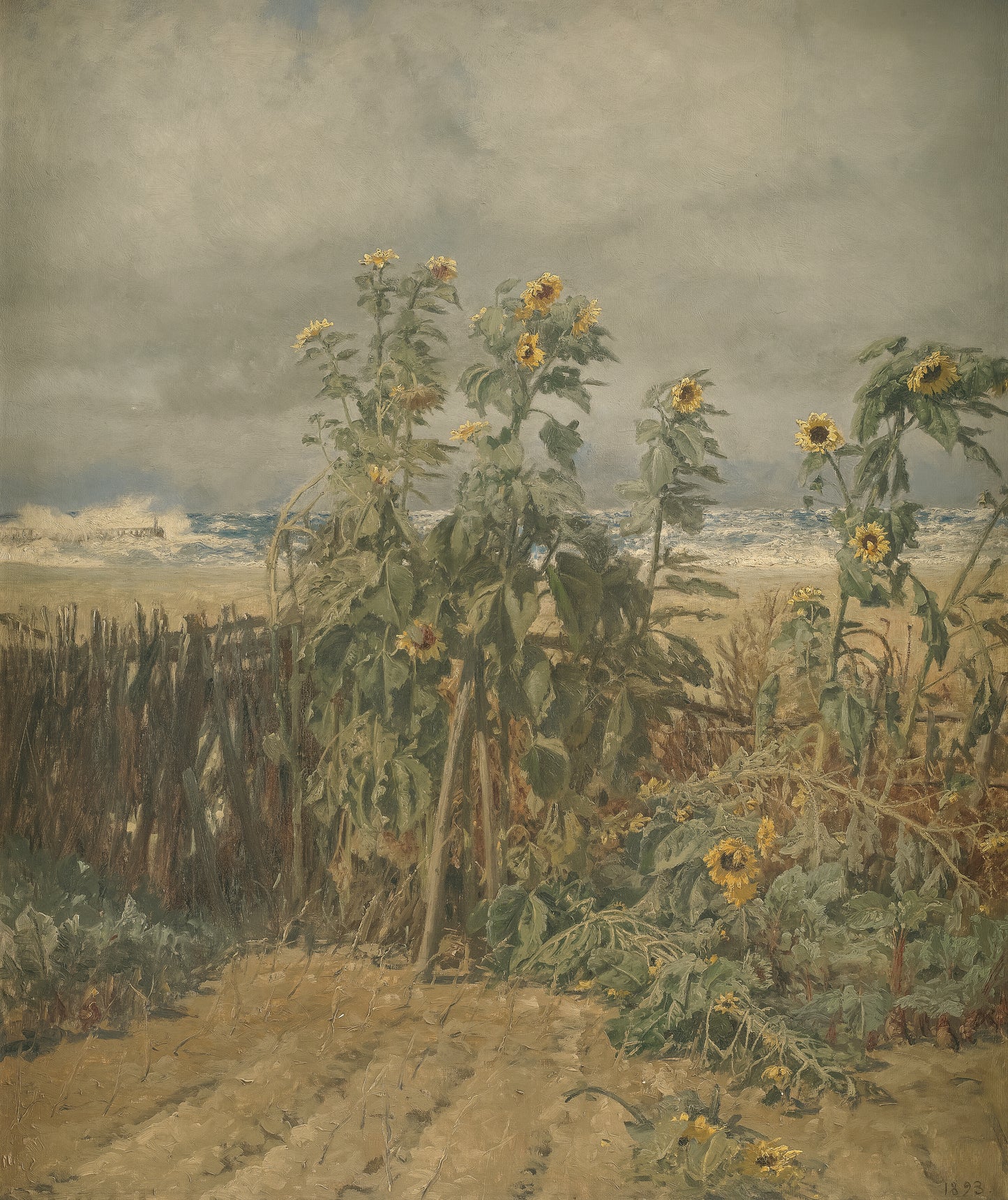 Sand & Sunflowers