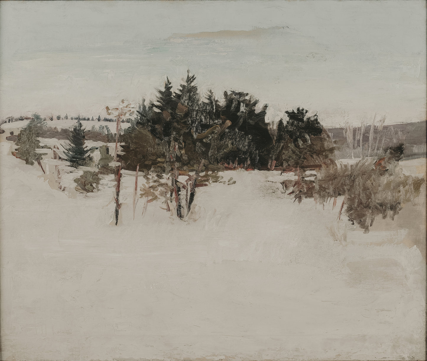 Winter Landscape