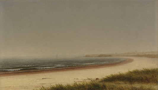 The Shore