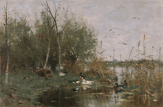 Ducks